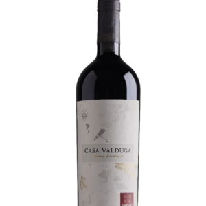 Vinho Tinto Terroir Exclusivo Cabernet Franc Casa Valduga - 750 ml