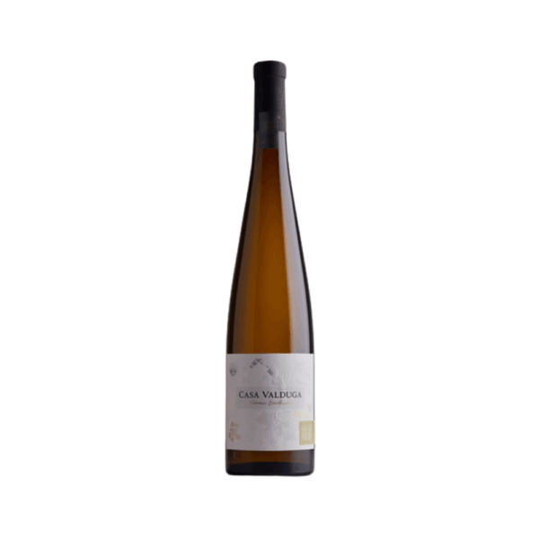 Vinho Branco Terroir Exclusivo Gewurztraminer Casa Valduga - 750ml